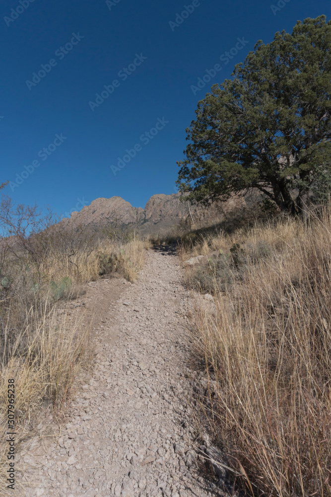 Vertical of the Fillmore trail.