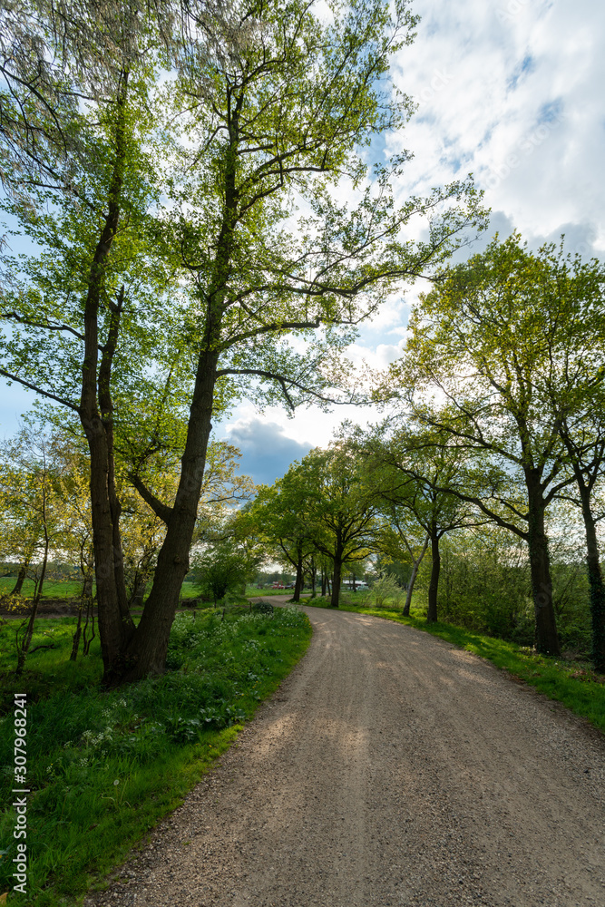 Dirt track leading through the green fields of the IJssel Valley edge with Veluwe with trees in green landscape near Loenen (The Netherlands) Dirt track leading through the green fields of the IJssel Valley edge with Veluwe with trees in green landscape near Loenen (The Netherlands)