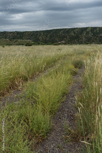 Vertical view from the Mountain Spirits Scenic Byway in New Mexico.