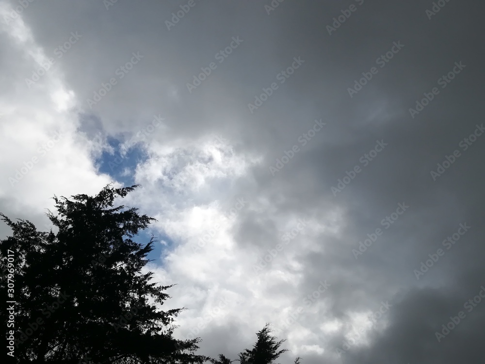 sky with clouds sky with clouds