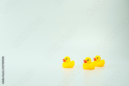 Yellow duck isolated in white background.