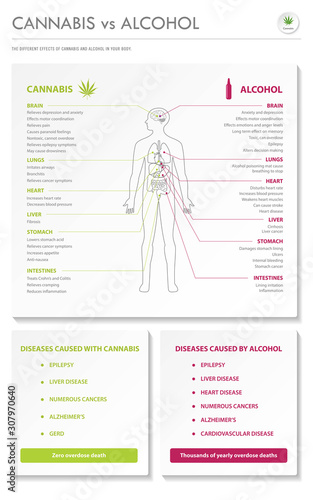 Cannabis vs Alcohol vertical business infographic illustration about cannabis as herbal alternative medicine and chemical therapy, healthcare and medical science vector.