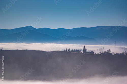 The fog envelops the forest