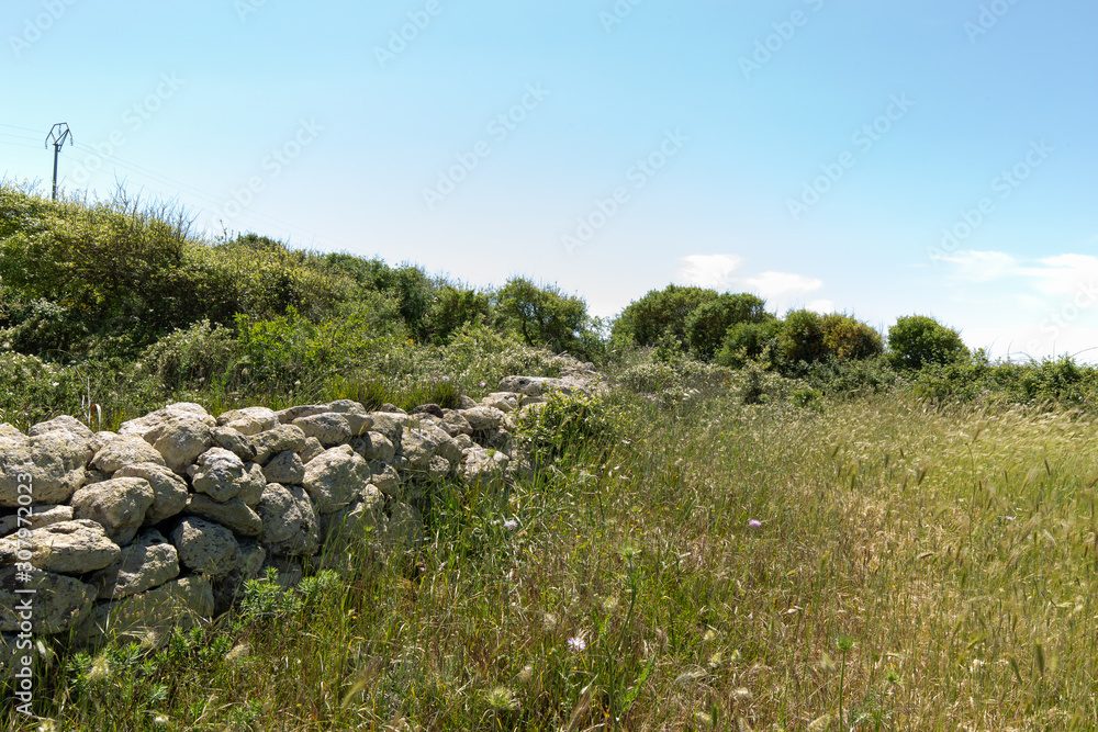 Steinzaun Mauer in der Wildnis - Villanova Monteleone Sardinien