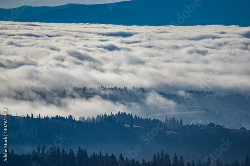 Fototapeta Naklejka Na Ścianę i Meble -  Carpathian mountains in the waves of fog