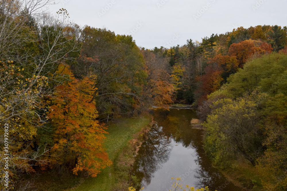 autumn landscape with river and trees