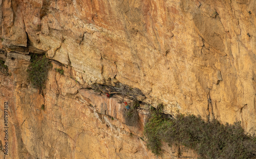 Two Macaws nesting on rockface