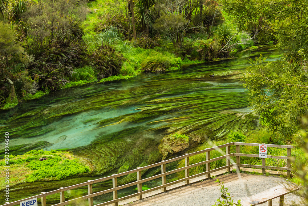 Obraz premium ニュージーランド プタルルのブルースプリングの展望台からの風景と透明で澄んだ川