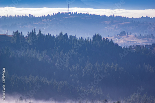 Carpathian mountains in the waves of fog