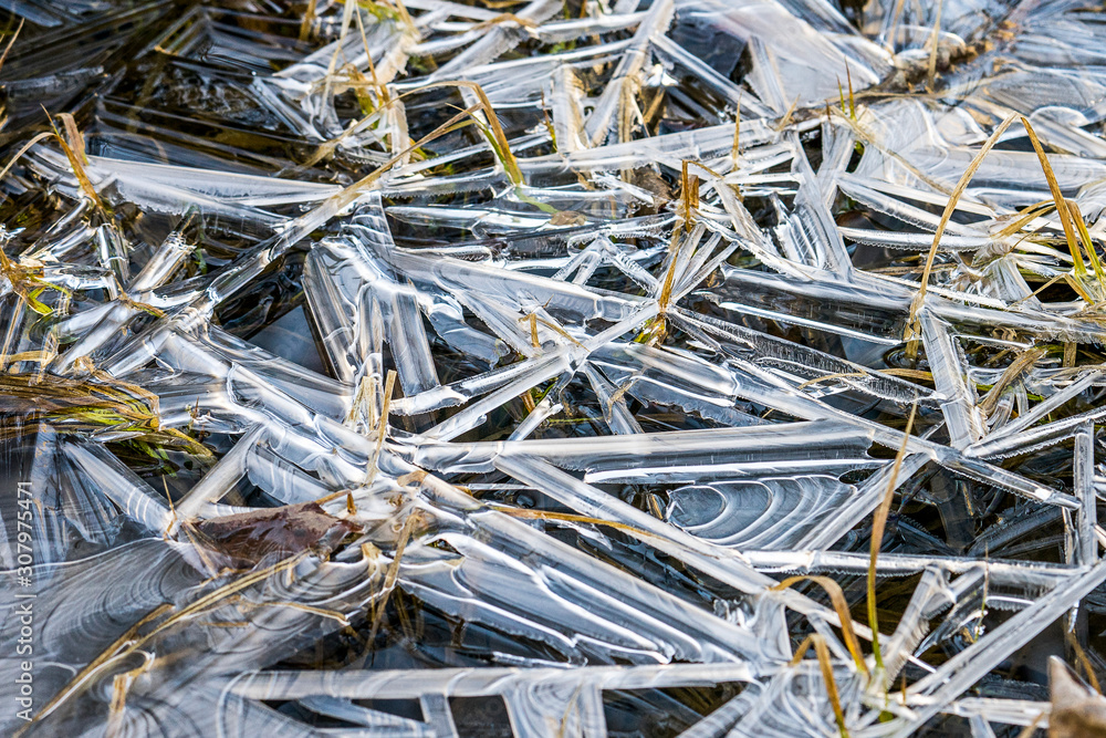 Abstract of frozen water with grasses Abstract of frozen water with grasses
