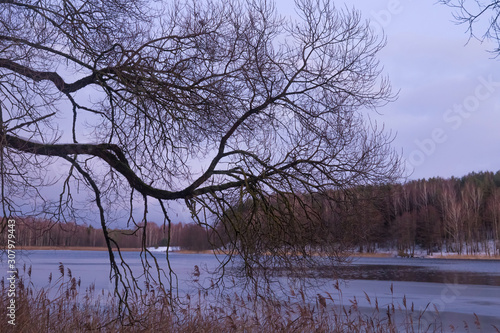 Beautiful winter landscape with lake in Trakai, Lithuania in evening time. photo