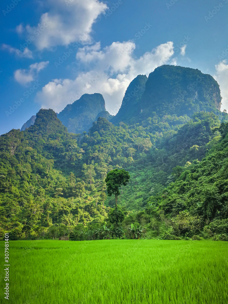 Atmosphere of rice fields and mountains, Vang Vieng City, Vientiane Province