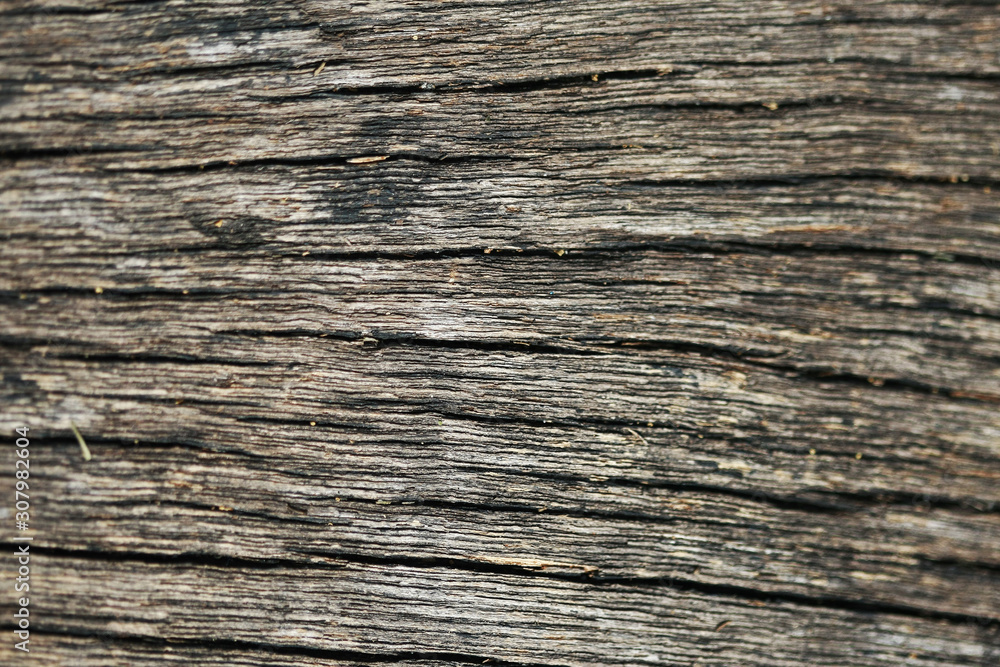 Wooden Bark Texture Background Pattern Wallpaper Close up Wooden Bark Texture Background Pattern Wallpaper Close up