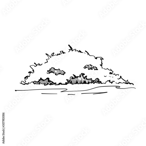 Sketching hand drawn tree bush ink style outline. 