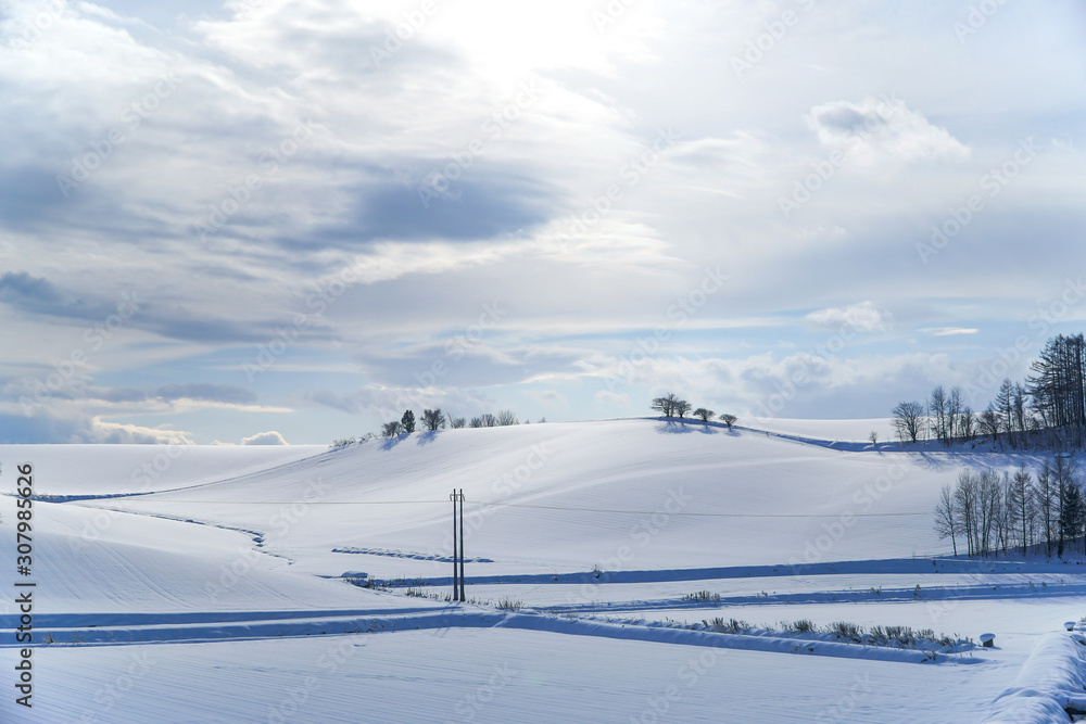 Snow plain of Biei town with small tree on winter.