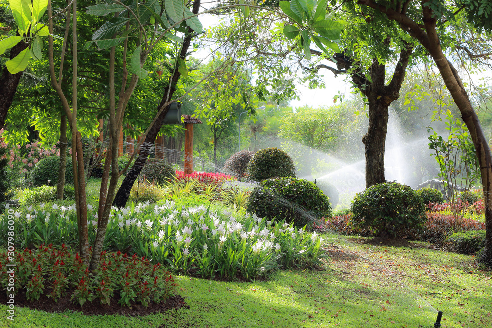 garden with water springer in the morning - obrazy, fototapety, plakaty 