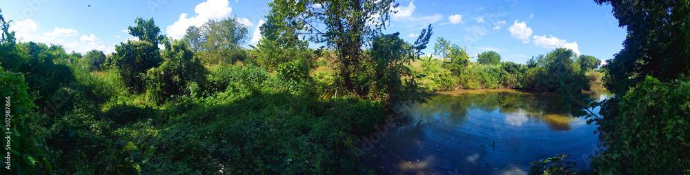 panorama ป่า panorama ป่า