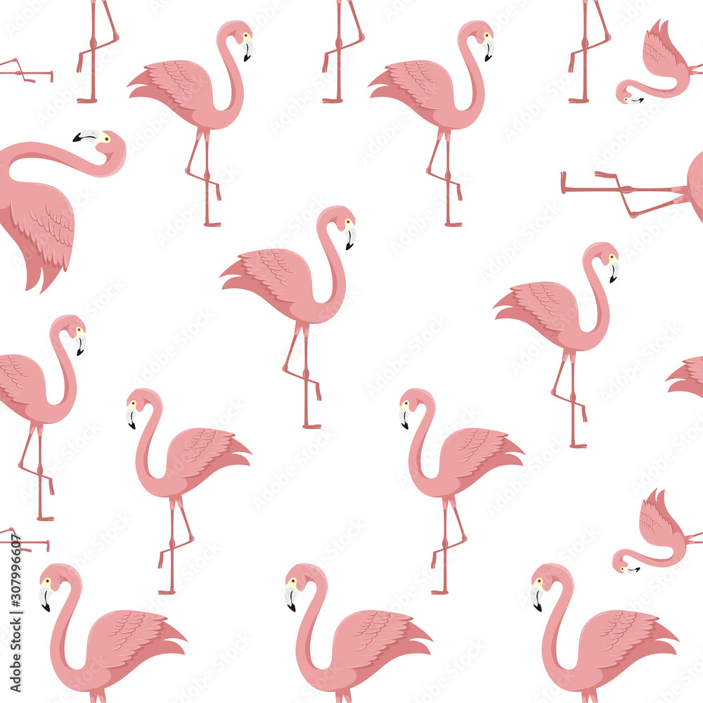 Obraz premium background of flamingos pink animals exotic vector illustration design