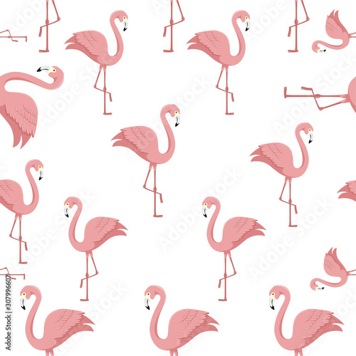 background of flamingos pink animals exotic vector illustration design