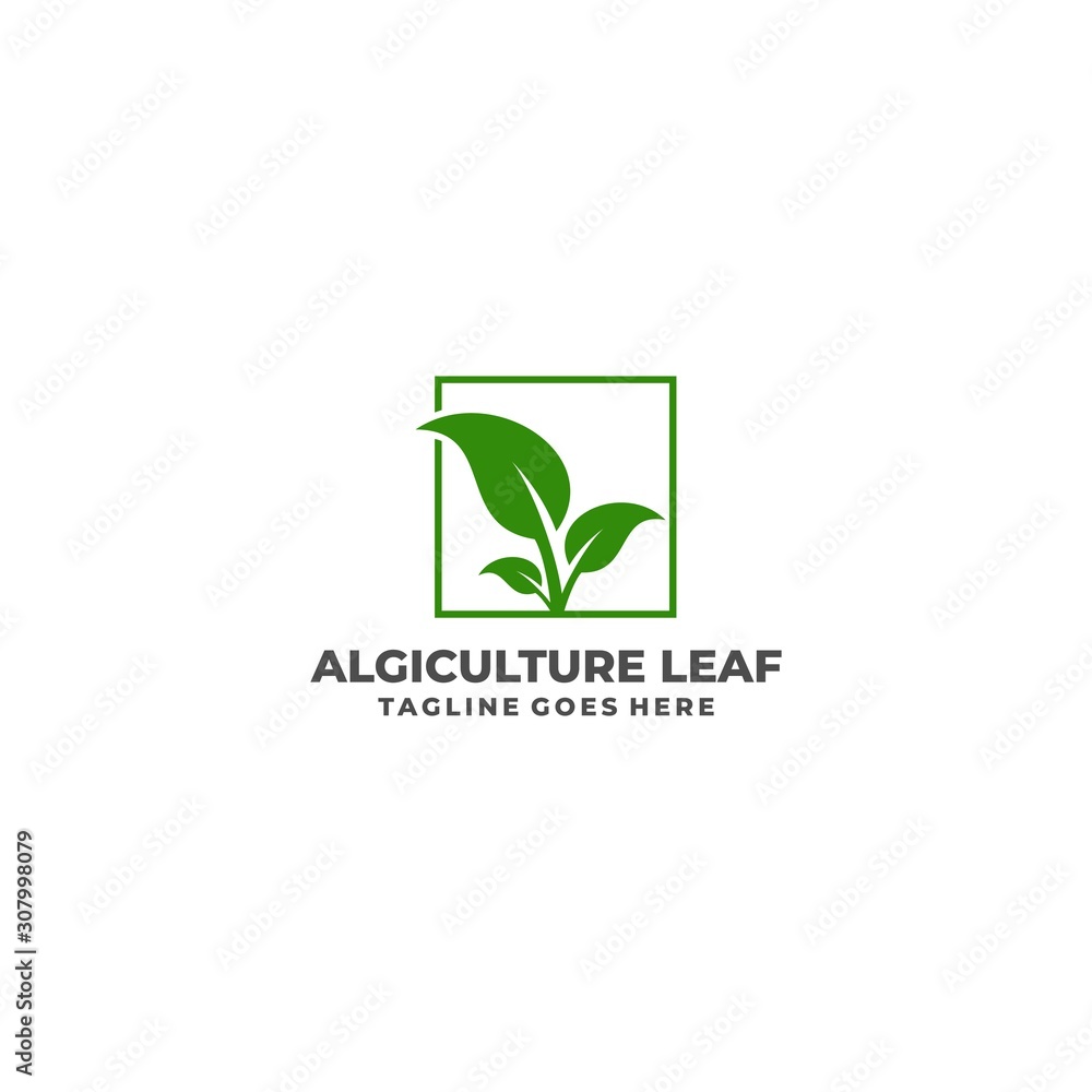 Leaf Illustration Vector Template Leaf Illustration Vector Template