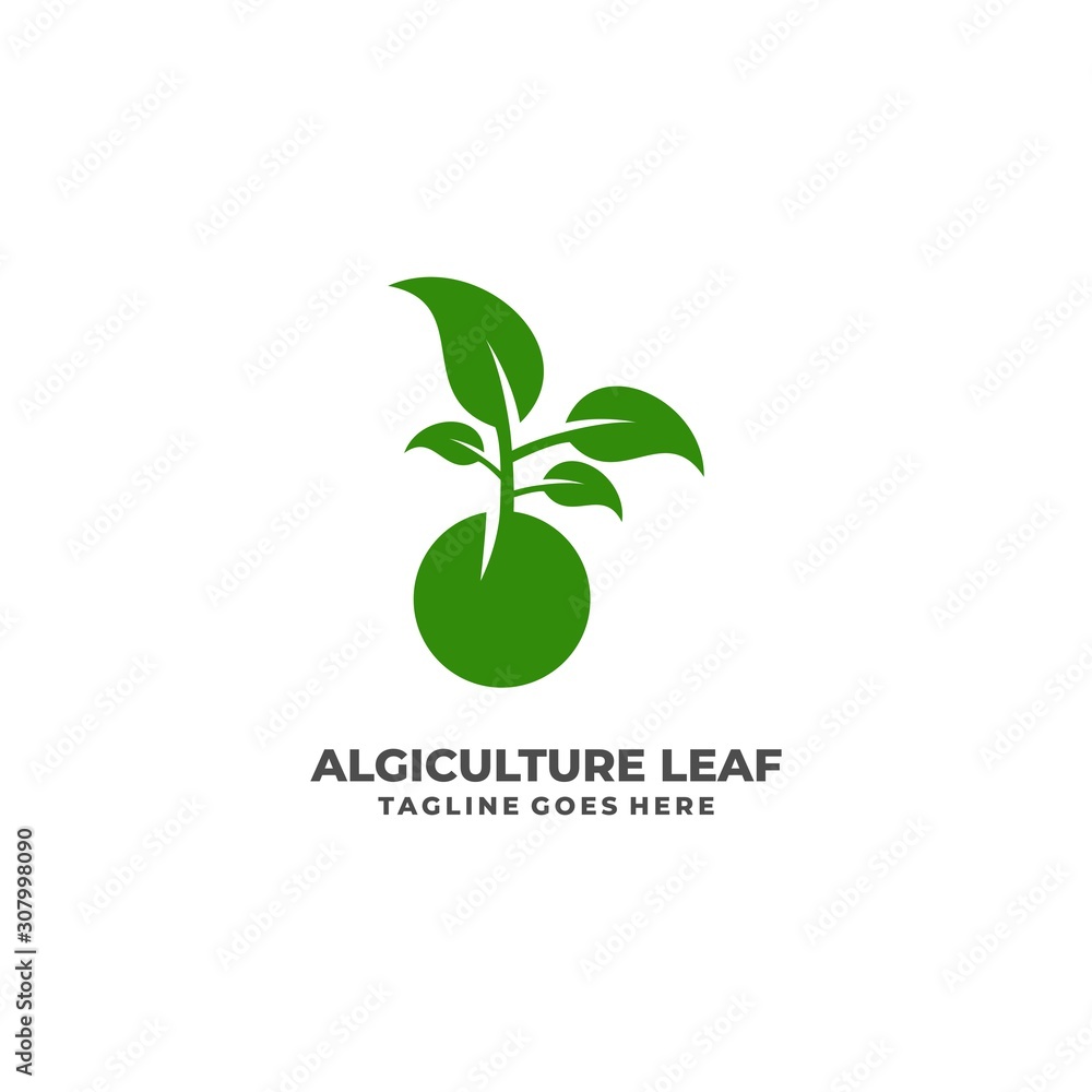 Leaf Illustration Vector Template