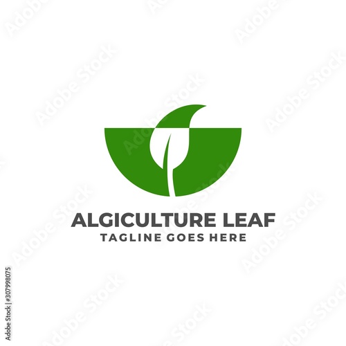 Leaf Illustration Vector Template