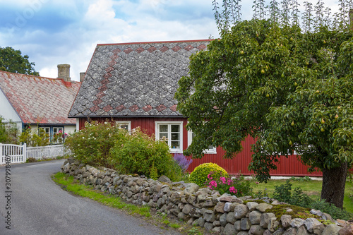 View into a street with small country houses and orchards