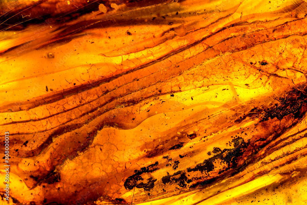 Φωτογραφία Amber in sun with inclusions on a white empty background