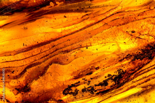 Papier peint Amber in sun with inclusions on a white empty background