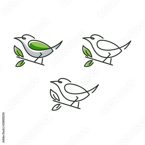 green bird and leaf logo design bundle
