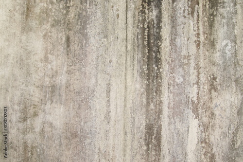 abstract,Texture of old concrete wall,Grey Cement textured abstract background,old wall with lichen,Dirty white wall background, close up moss texture on cement wall