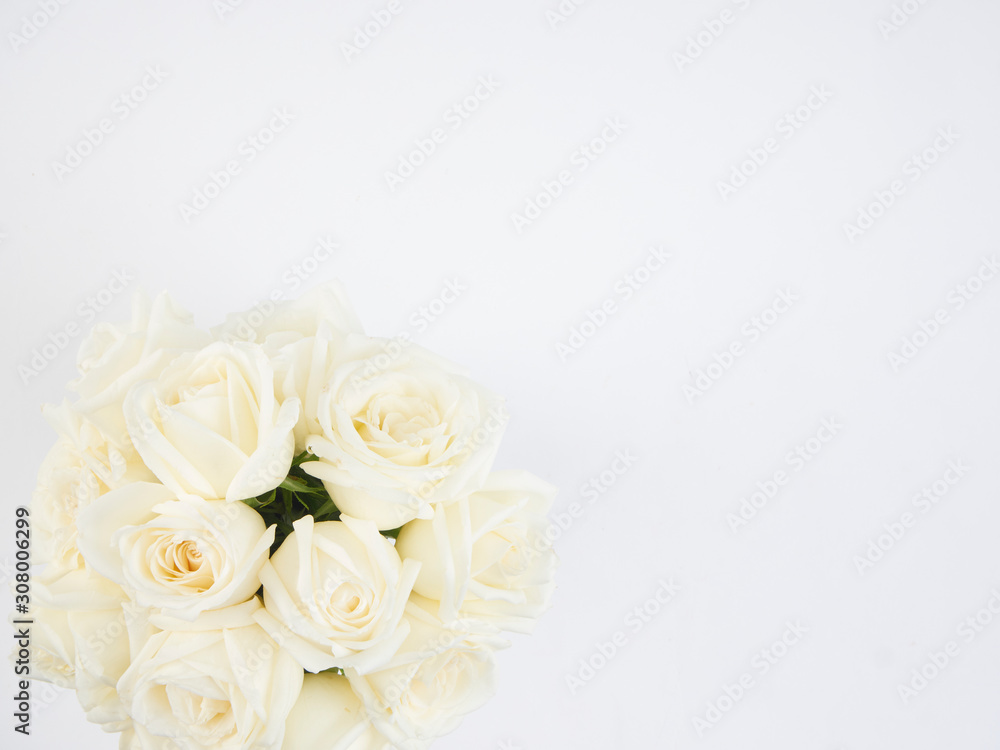 White roses isolated on white background