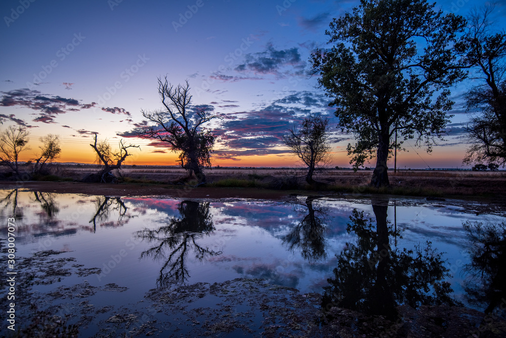 Image of trees reflecting off the water at sunset Image of trees reflecting off the water at sunset