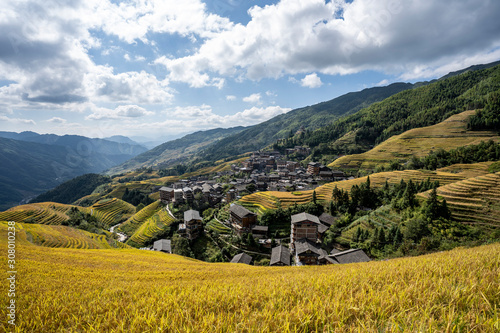 Wallpaper Mural Reisefelder Longsheng Guilin Torontodigital.ca