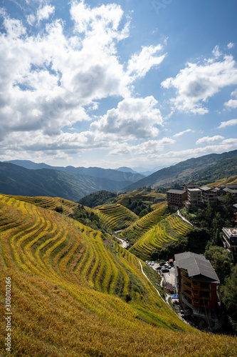 Wallpaper Mural Reisfelder Longsheng Guilin Torontodigital.ca