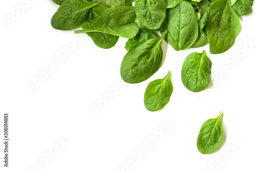 fresh organic spinach leaves as a corner background with copy space isolated on white, high angle top view from above photo