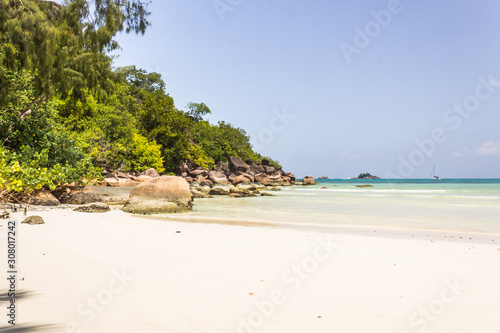 Beautiful beach with white sand and tree