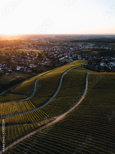 Scenic sunset in Vineyards ...