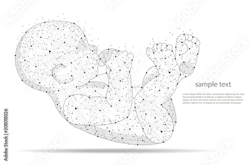Fetus Icon Isolated on White Background. Vector abstract polygonal image
