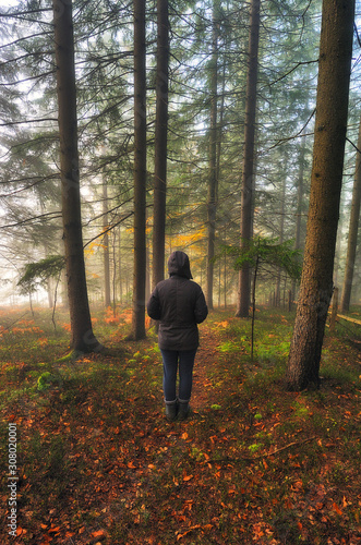 woman in the autumn forest. picturesque foggy forest © sergnester