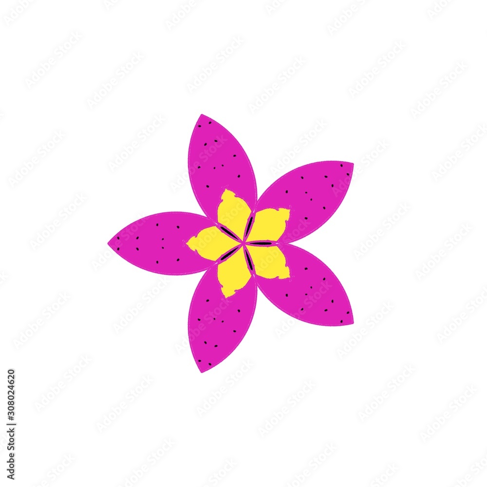 Flower colorful icon on white background Flower colorful icon on white background
