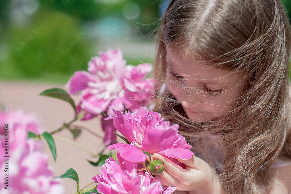 Fototapeta premium Cute little girl with long hair smelling the flower. Blooming pink peony (Paeonia, peony) flower. Outdoors. Enjoy nature. Healthy smiling child on spring park. Allergy free concept. Freedom