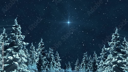 North Star And Dark Winter Night Scenery 