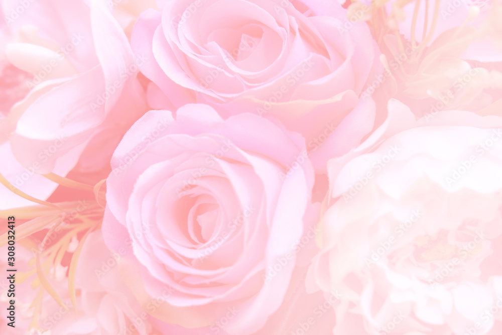 Fototapeta premium Blurred of rose flowers pink blooming. in the pastel color style for background.