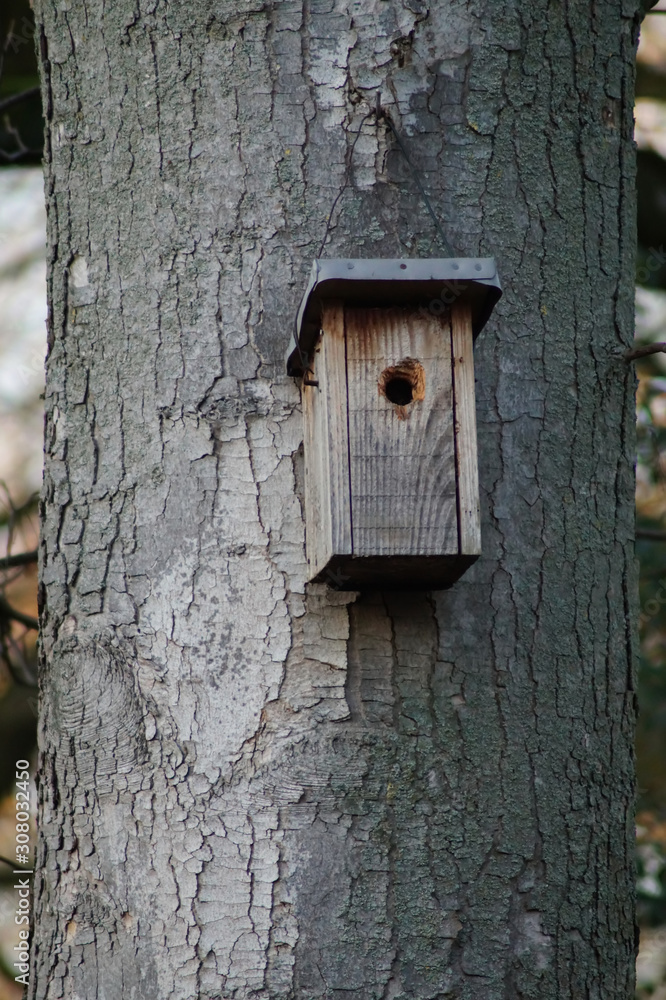 Ein Vogelhaus 