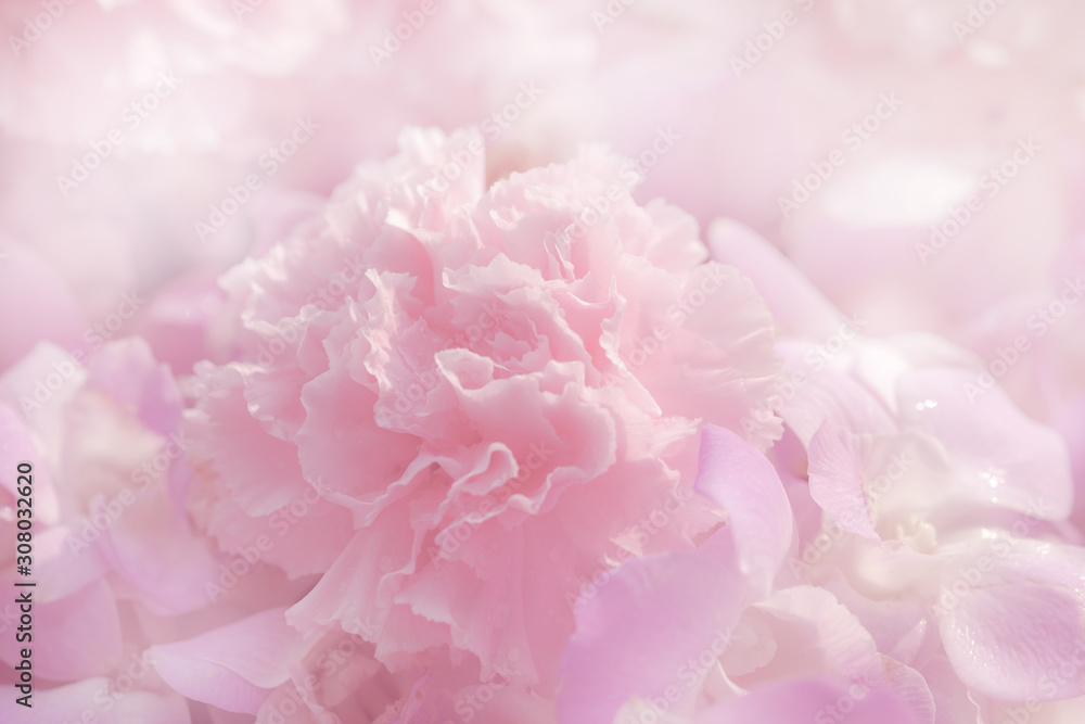 Blurred of flowers pink blooming. in the pastel color style for background.