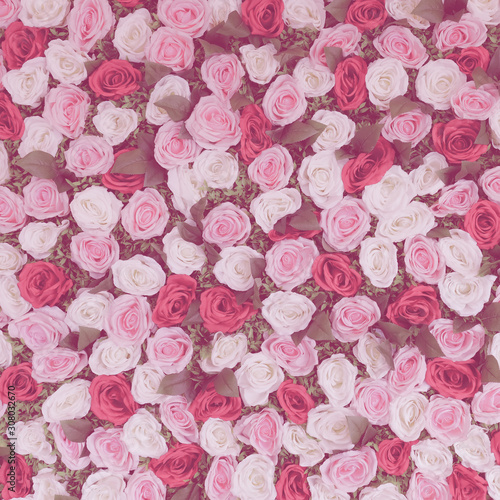Flowers wall amazing pink red and white roses, for wedding decoration, pastel and soft bouquet floral card.