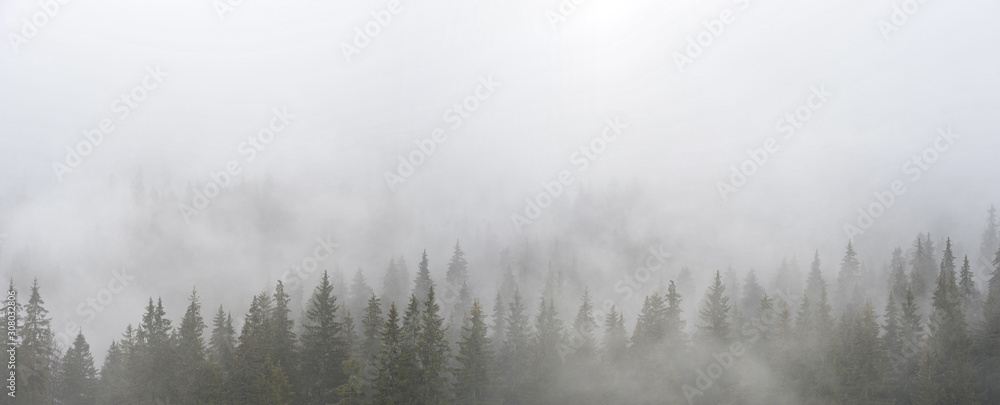 Fototapeta Mystic landscape with fog