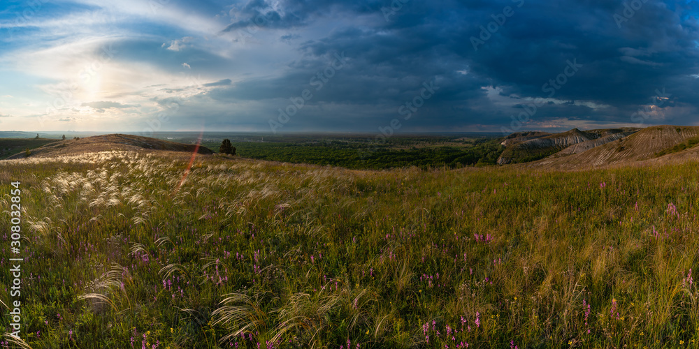 Spring landscape with wild flowers in steppe