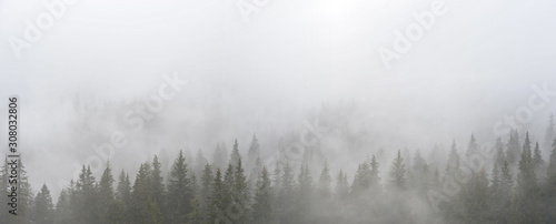 Mystic landscape with fog © firewings